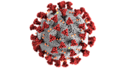 ‘New Virus Strain Not Found in Japan’ – Kato