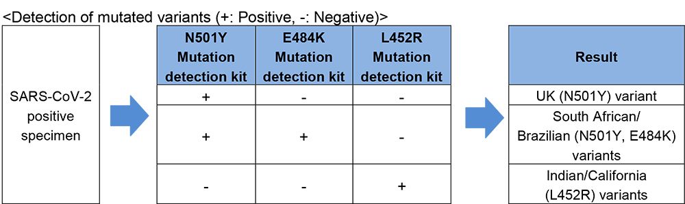 Fujifilm Announces Launch of its COVID-19 Detection Kit for Indian, Californian Variants