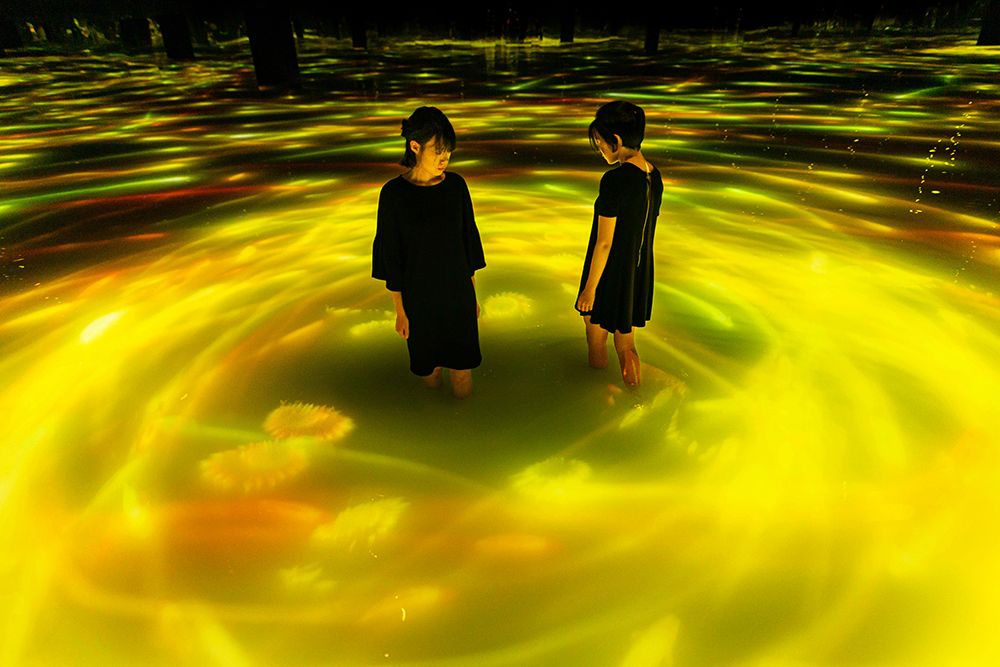 Digital Sunflowers to Bloom at teamLab Planets